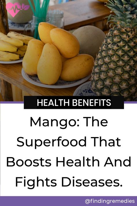 🥭Discover the many health benefits of mango🌴, a tropical fruit packed with natural compounds, vitamins and minerals. Learn about its nutrition profile, types and more.🍓 #healthbenefitsofmango #findingremedies #fruitlove #tropicalfruits #healthylifestyle 🌞 Benefits Of Mango, Mango Health Benefits, Mango Benefits, Fruit Love, Tropical Fruits, Tropical Fruit, Vitamins And Minerals, Health Benefits, Disease