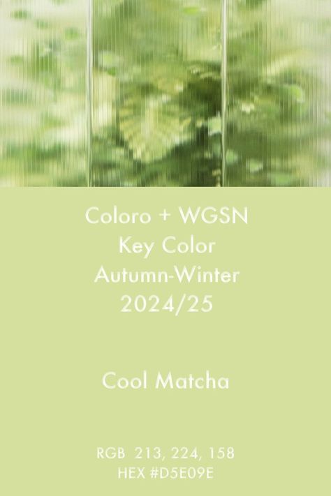 Pantone Trends, Design Color Trends, Deep Winter Colors, Color Forecasting, Fashion Trend Forecast, Color Trends Fashion, Brand Color Palette, Color Stories, World Of Color