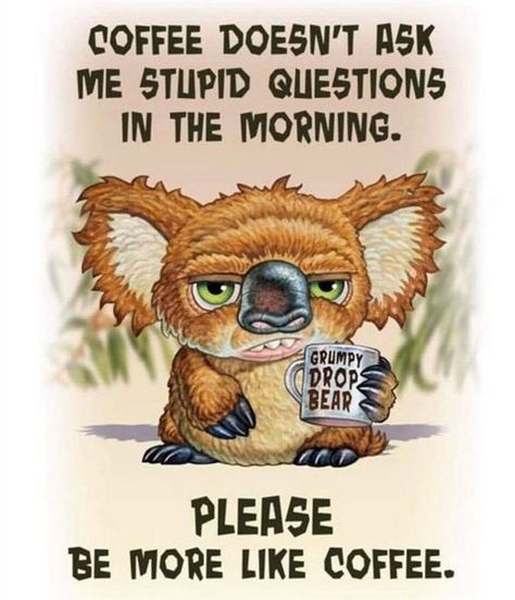 Bear Quotes, Drop Bear, Funny Day Quotes, Funny Cartoons Jokes, Funny Good Morning Quotes, Good Morning Funny, Funny Quotes Sarcasm, Funny Jokes For Adults, Funny Cartoon Quotes