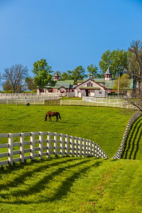 9. Lexington, Kentucky | True Southern beauties. Southerners have a longstanding appreciation for pretty things. Grand columned antebellum homes, snow-white fields of cotton, Mama’s hot buttermilk biscuits—we like having a little eye candy on the horizon. That’s why we take major pride in our cities and all of their charming qualities. From the historic avenues of Charleston to the white sandy beaches of St. Petersburg, the mountain vistas of Asheville to the river views of Savannah, the South Antebellum Homes, Palmetto State, Southern Cities, My Old Kentucky Home, Lexington Kentucky, Lexington Ky, Louisville Kentucky, Hilton Head, City Aesthetic