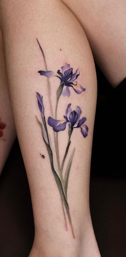 Iris And Larkspur Tattoo, Blue Iris Flower Tattoo, Blue Flag Iris Tattoo, Hummingbird Iris Tattoo, Siberian Iris Tattoo, Purple Iris Tattoo Design, Iris And Hummingbird Tattoo, Iris Chest Tattoo, Wild Iris Tattoo