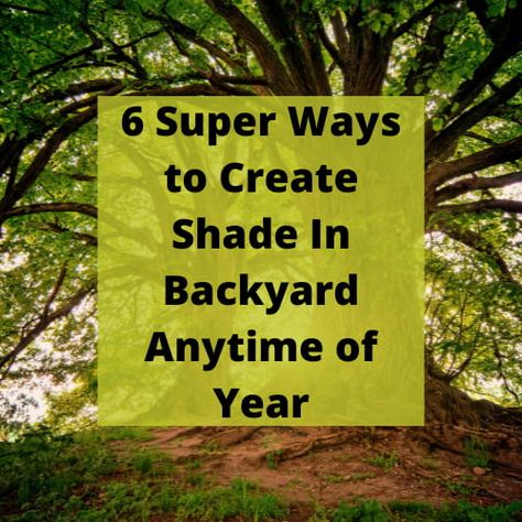 Ways To Add Shade To Backyard, How To Get Shade In Backyard, Shade Options For Backyard, No Shade Backyard Ideas, How To Create Shade On Patio, How To Create Shade In Garden, Create Shade In Garden, How To Make Shade In Backyard, How To Add Shade To Your Backyard