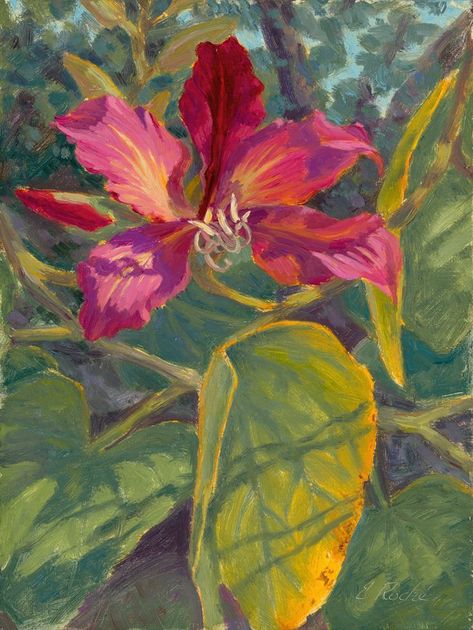 This is an 8x6 oil painting of a Bauhinia tree flower. Bauhinia Flower, Academic Art, Oil Painting Flowers, Watercolor Sketch, Flower Illustration, Flower Art, Oil Painting, Portfolio, Drawings