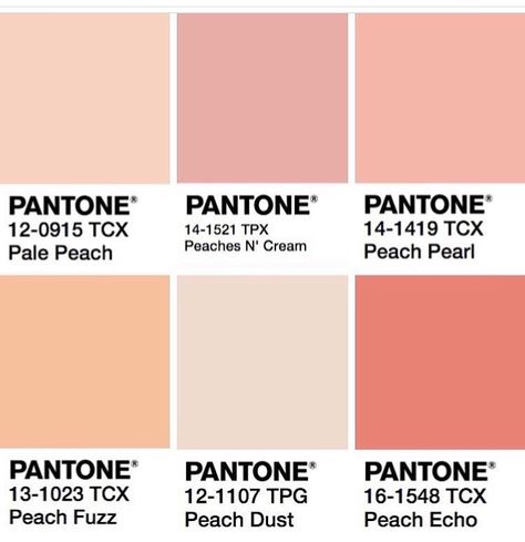 Playoff Shirts, Peach Echo, Color Of The Year 2024, Color Durazno, Pantone Colour Palettes, Color Boards, Hex Color Palette, Peach Aesthetic, Pantone Color Of The Year