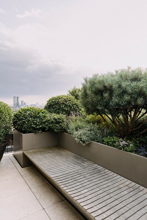 Green Terrace Design, Architecture Proposal, Penthouse Garden, Garden Edge, Green Roof Garden, Roof Terrace Design, Roof Garden Design, Terrasse Design, Rooftop Design