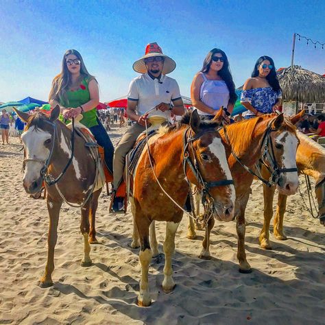 Rosarito Mexico, Battle Of Borodino, Rosarito Beach, Mexico Cruise, Mexican Beaches, Horse Rescue, The Villages, Mexico Vacation, News Agency