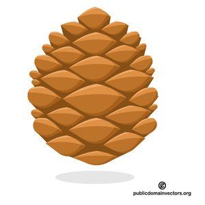 Conifer cone vector image Conifer Cone, Science Stickers, Xmas Ideas, Free Clipart, Pine Cone, Pine Tree, Free Svg, Pine Cones, Public Domain