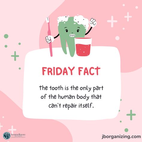 Friday Fact Friday Facts Funny, Preschool Printouts, Biology Jokes, Office Marketing, Reading Tutor, Useless Facts, Whiteboard Messages, Friday Facts, Funny Friday