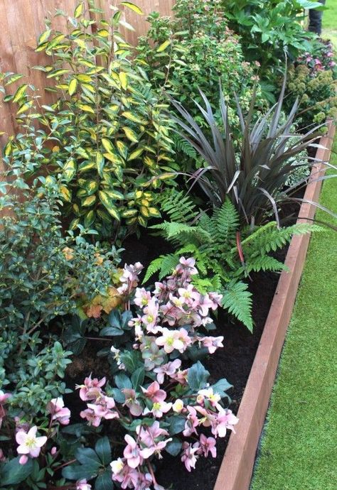 How to plant the perfect border – Gardenonaroll - Gardening | Learning with Experts Straight Garden Border, Planting Borders Ideas, Shrub Border Ideas Uk, Evergreen Borders Uk, Narrow Garden Border Ideas, Narrow Garden Border, Shady Border Planting Plan, Front Garden Border Ideas Uk, Raised Border Planting Ideas