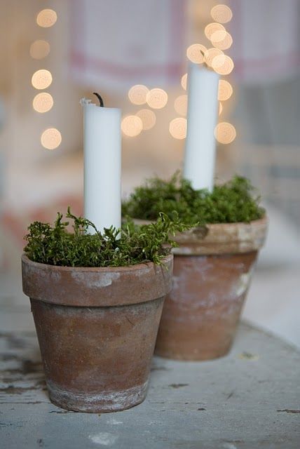 Jul Diy, Deco Nature, Noel Christmas, Christmas Centerpieces, Christmas Deco, Clay Pots, Christmas Inspiration, Decoration Table, Simple Christmas