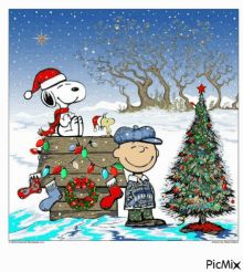 Merry Christmas Charlie Brown, Christmas Charlie Brown, Brown Brows, Woodstock Snoopy, Merry Christmas Gif, Charlie Brown Snoopy, Snoopy Images, Snoopy Pictures, Brown Christmas