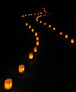 Pathway Lighting Candle Pathway, Lantern Pathway, Enchanted Forest Prom, Wedding Walkway, Rice Lights, Walkway Lighting, Prom Themes, Fake Candles, Water Candle