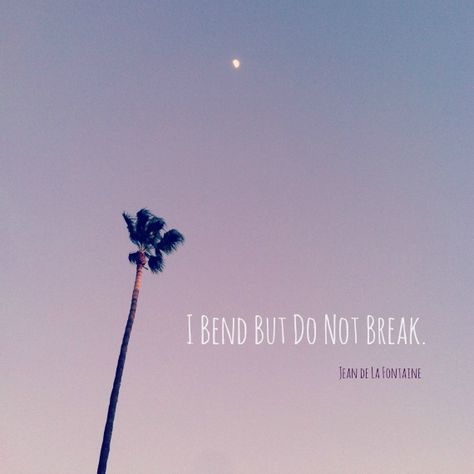 "I bend but do not break." Sayings And Phrases, Soul Quotes, Yoga Life, French Fries, Positive Thinking, Life Lessons, Favorite Quotes, Bend, Me Quotes