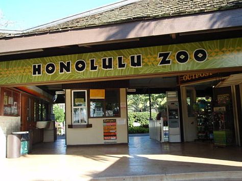 I love this zoo! I lived on Oahu in the 80s for 4 years and loved going here almost every weekend. Oahu Trip, Honolulu Zoo, Hawaii Activities, Honolulu Oahu, Hawaii Life, Aloha Hawaii, Family Vacation Destinations, Romantic Getaway, City Guides