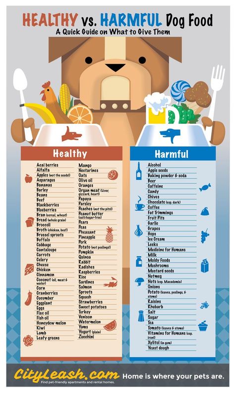 Printable Healthy and Harmful Food for Dogs Poster - CityLeash.com via @KaufmannsPuppy Foods Dogs Can Eat, Healthy Dog Food Recipes, Dog Info, Food Nutrition, Pet Hacks, Dog Recipes, Dog Treat Recipes, Homemade Dog Food, Homemade Dog