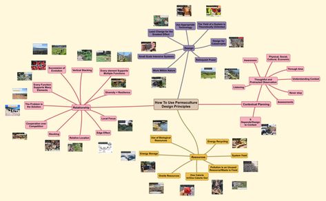 Permaculture Principles in Action Webinar - Permaculture Skills Center What Is Permaculture, Permaculture Fruit Tree Guild, Permaculture Books, Appropriate Technology, Permaculture Ethics, Prime Directive, Bill Mollison Permaculture, Permaculture Principles, Ecology Design