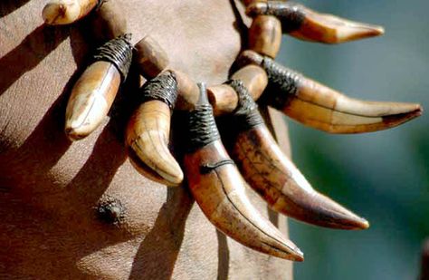 India | Detail of Naga tribesman's  tiger tooth necklace | © Ruivah Shimray Boar Tooth Necklace, Boar Tusk, Tiger Teeth, Cultural Jewelry, Tusk Pendant, Tiger Tooth, Magical Beings, Animal Teeth, Tiger Skin