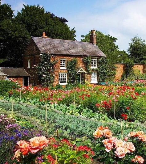 British Vegetable Garden, Gate Arbor, British Farm, British Gardens, Arbor Garden, Small Backyards, Backyard Wedding Ceremony, Edible Gardens, Cheshire England