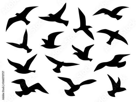 Stock Image: Bird silhouettes. Flying birds flock, black drawing flight raven tattoo template, monochrome animal wild life migration vector set Birds Silhouette Flying, Birds Flying Illustration, Birds Flying Silhouette, Migration Birds, Raven Flying, Flying Bird Silhouette, Bird Silhouettes, Bird Outline, Black Drawing