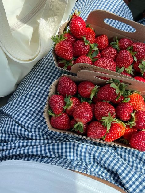 Red Coastal Aesthetic, Watermelon Summer Aesthetic, Studio Product Photography, Aesthetic Views, Fruit Summer, Attract Customers, Blue Beach, Jolie Photo, Summer Dream