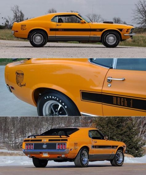 1970 Ford Mustang Mach 1 Twister Special 1971 Ford Mustang, 1971 Ford Mustang Mach 1, 1970 Ford Mustang, Mustang Mach 1, Mustang Ii, Ford Cars, Ford Classic Cars, American Muscle, American Muscle Cars