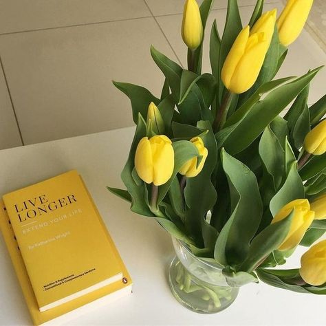 #Yellow #flowers #tulip #book Yellow Aesthetic Pastel, Yellow Theme, Jaune Orange, Yellow Tulips, Yellow Wallpaper, Yellow Tones, Yellow Aesthetic, Aesthetic Colors, Pastel Yellow