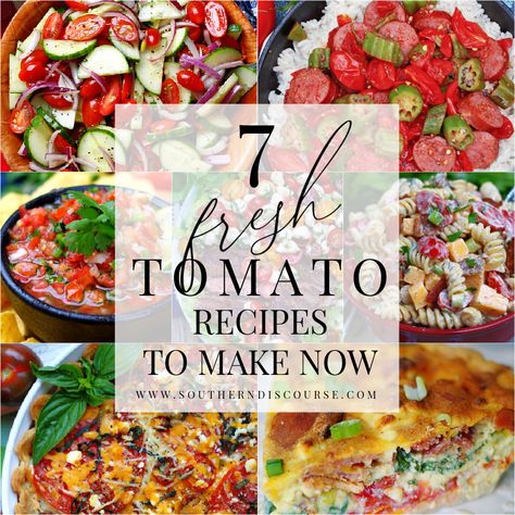 7 Fresh Tomato Recipes To Make Now - southern discourse Pasta Tomato Soup, Aesthetic Food Recipes, Summer Tomato Recipe, Southern Discourse, Food Easter, Food Recipes Healthy, Fresh Tomato Recipes, The Mediterranean Dish, Tomato Pasta Sauce