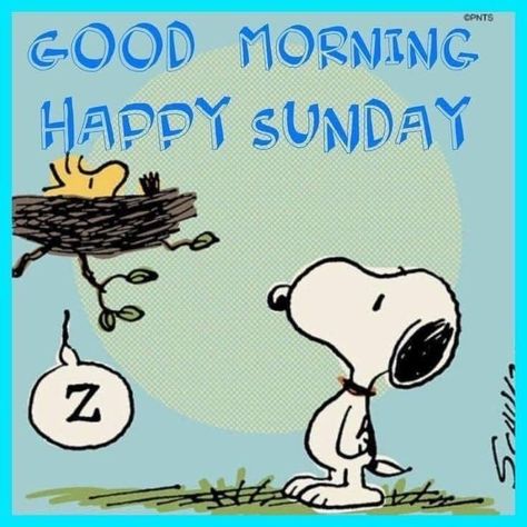 Snoopy Weekend, Snoopy Sunday, Snoopy Happy Dance, Snoopy Hug, Charlie Brown Characters, Good Morning Snoopy, Charlie Brown And Friends, Woodstock Peanuts, Brown And Friends