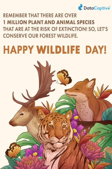 Save Wildlife Poster Painting, Save Wildlife Poster Ideas, Save Animals Poster, Wildlife Week, World Wildlife Day, Online Preschool, Bank Job, Project Cover Page, Wildlife Protection