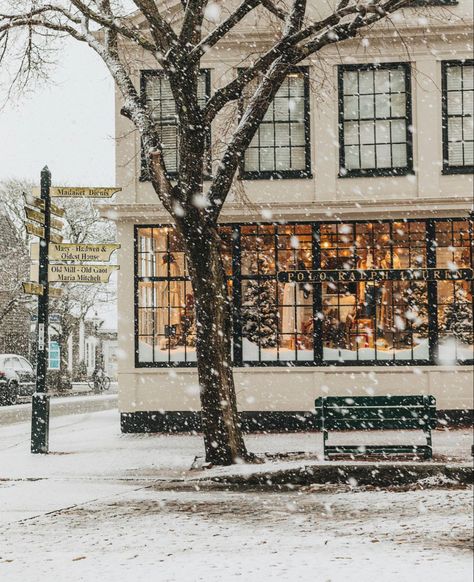 Nantucket Winter, Nantucket Aesthetic, England Coast, Christmas Destinations, Holiday Village, Winter Photo, Lady Girl, Winter Love, Winter Wonder