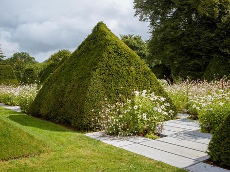 Erik Dhont, a green labyrinth in Normandy - gallery | Foto Abitare Erik Dhont, Boxwood Hedge, Formal Garden, Pastel Shades, A Park, Architecture Project, Labyrinth, Hedges, Garden Landscaping