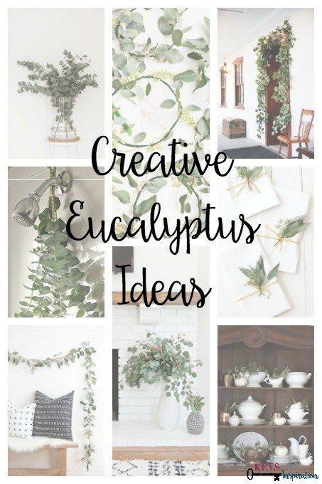 So many creative ideas for using Eucalyptus - my favorite green! Eucalyptus Diy, Farmgirl Flowers, Fresh Eucalyptus, Dried Eucalyptus, Pampas Grass Decor, Eucalyptus Garland, Eucalyptus Wreath, 60 Degrees, Creative Home Decor