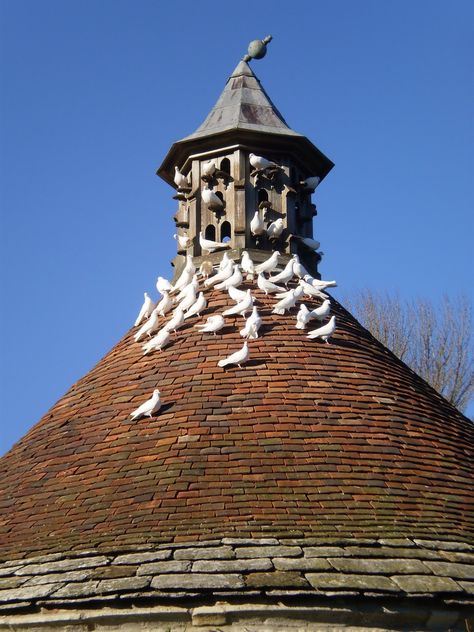 Farm Landscaping, Pigeon House, Round Building, Whispers In The Dark, Pond Landscaping, Medieval Houses, Small Buildings, Fantasy Setting, Chicken Farm