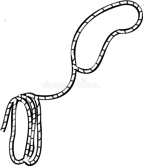 Lasso Tattoo Ropes, Cowboy Lasso Drawing, Cowboy Lasso Tattoo, Lasso Illustration, Lasso Drawing, Lasso Tattoo, Cowboy Lasso, Cowboy Illustration, Rope Drawing