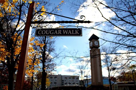 Kean University Cougar Walk Kean University, University Aesthetic, Event Id, Pinterest Contest, Scavenger Hunts, College Stuff, Dream School, Scavenger Hunt, College Life