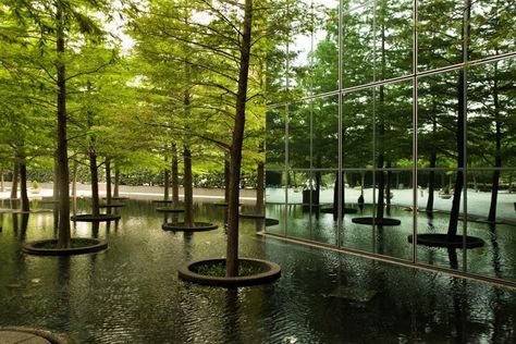 The Landscape Architecture Legacy of Dan Kiley | The Cultural ... Villa Architecture, Landscape Timbers, Easy Landscaping, Contemporary Garden, Contemporary Farmhouse, Exeter, Landscape Projects, Contemporary Landscape, Landscape Architect