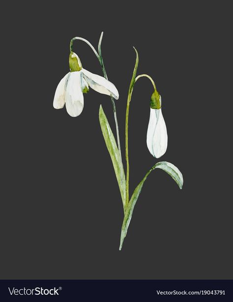 Biodynamic Calendar, Snow Drop Flower Tattoo, Snow Drop Flower, Snow Drops Flowers, Tattoo Friends, Snowdrop Flower, Snow Drop, Bouquet Tattoo, Flower Line Drawings