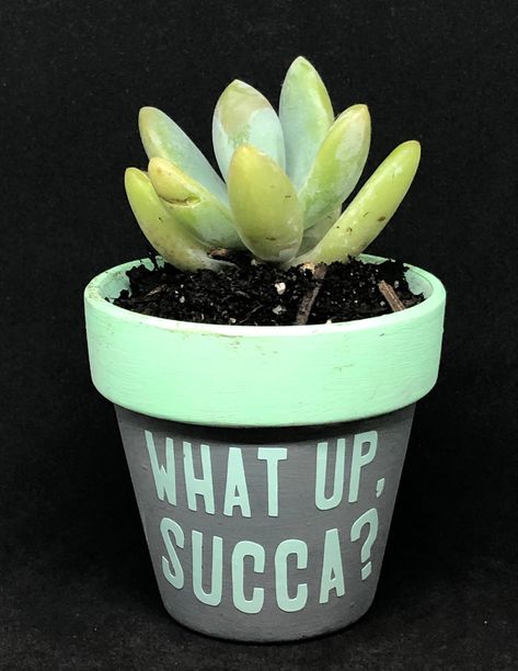 Decorating Plant Pots, Terracotta Ideas, Plant Sayings, Garden Diy Decoration Ideas, Succulent Planter Diy, Plant Puns, Plant Pot Design, Flower Pot Art, Plant Pot Diy