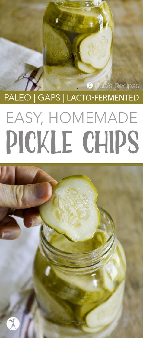 Easy Homemade Pickle Chips :: Paleo, Lacto-Fermented Lacto Fermented, How To Make Pickles, Fermented Veggies, Fermented Pickles, Pickle Chips, Fermentation Recipes, Fermented Vegetables, Homemade Pickles, Paleo Snacks