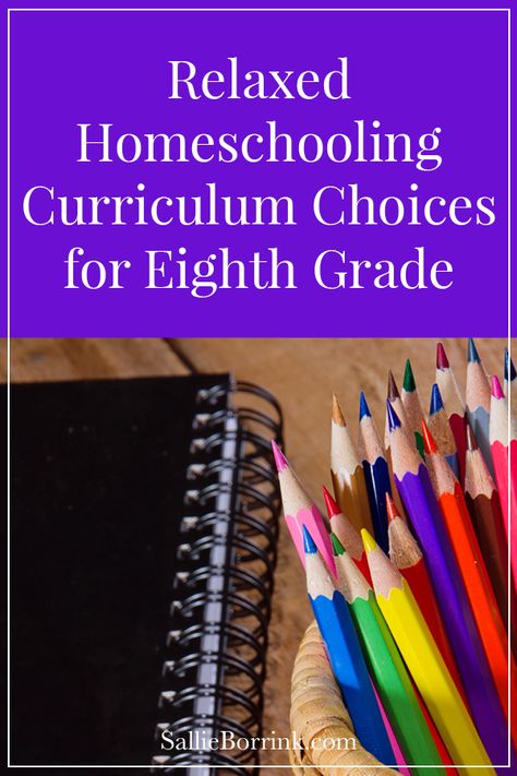 Relaxed Homeschooling Curriculum Choices for Eighth Grade 5th Grade Homeschool, Homeschooling Curriculum, Relaxed Homeschooling, Science History, Classical Education, How To Start Homeschooling, 9th Grade, Homeschool High School, Pre Kindergarten