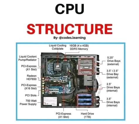 Computer CPU, parts of CPU, computer CPU Cpu Computers, Parts Of Cpu, Cpu Parts, Build Computer, Computer Science Quotes, Simple Electronic Circuits, Computer Study, Networking Basics, Basic Electrical Engineering