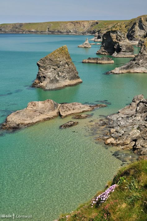 Bedruthan Steps this week (19th Apr 2017).  The rock stacks are said to be the stepping stones for a giant named Bedruthan... but that was a story made up for Victorian tourists!  The name actually comes from a set of cliff steps to Carnewas mine coming from Bedruthan Farm.  The name Bedruthan comes from the Cornish for "Red Dwelling".  One of the cliffs here is still known as "Red Cliff". Coastal Photos, Bedruthan Steps, Country England, Cornwall Holiday, Counties Of England, Cornwall Coast, Cornwall Beaches, Cornish Coast, Travel Uk