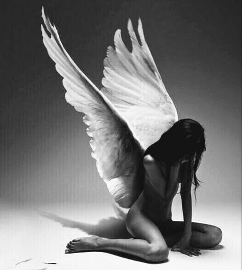 Fallen Angels Photography, Fallen Angel Aesthetic, Fallen Angel Wings, Y2k Profile Picture, Angel Drawing, Wings Art, Angel Aesthetic, Art Folder, Art Painting Gallery