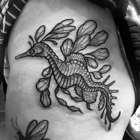 Sea Dragon Tattoo, Seahorse Outline, Ocean Theme Tattoos, Dragon Tattoo Meaning, Leafy Sea Dragon, Seahorse Tattoo, Outline Tattoo, Sea Tattoo, Tattoo Reference