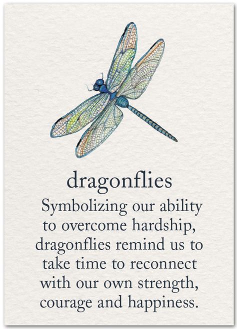 What Does A Dragonfly Symbolize, Dragonfly Symbolism Meaning, Dragonfly Meaning Spiritual, Dragonfly Meaning, Dragonfly Symbolism, Dragonfly Quotes, Spiritual Things, Dragon Flies, Wild Kingdom