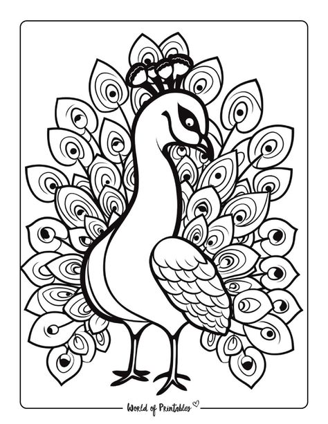 Immerse yourself in the world of peacocks with these mesmerizing coloring pages! These printables showcase the splendor of peacock feathers, making them a captivating and enjoyable coloring experience. Peacock Outline, Peacock Coloring Pages, Peacock Drawing, Peacock Crafts, Peacock Pictures, A Coloring Page, Bird Coloring Pages, Peacock Art, Quilling Patterns