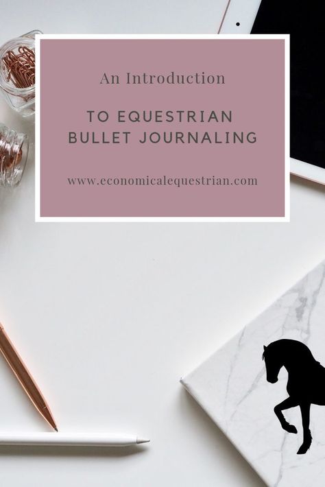 Bullet journals work for everything, but using them to organize your horse life is very beneficial! Staedtler Triplus Fineliner Pens, Writing A Journal, Staedtler Triplus Fineliner, Journal Log, Bullet Journal Work, How To Bullet Journal, Horse Lessons, Creating A Bullet Journal, Bulletin Journal Ideas