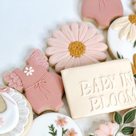 Kansas City Bakery on Instagram: "Baby in bloom🌸My new favorite set:’) • • • • • #babyinbloom #cookies #babyshowercookies #genderreveal #babyinbloomcookies #genderrevealcookies #babyshower #itsagirl #babyinbloomcake #heorshewhatwillitbe #babygirl #pinkandblue #sugarcookies #royalicingcookies #royalicing #cookiesofinstagram #cookiedecorating #kc #kcsmallbusiness #kansascity #supportlocal #supportsmallbusinesses #smallbusinessowner #smallbusiness #kccookies #kccookiecutter #dessert #dessertsofinstagram #baby #babycookies" City Bakery, Gender Reveal Cookies, Pop Cupcakes, Baby In Bloom, Bloom Baby, Baby Cookies, Cookie Frosting, Instagram Baby, Baby Shower Cookies