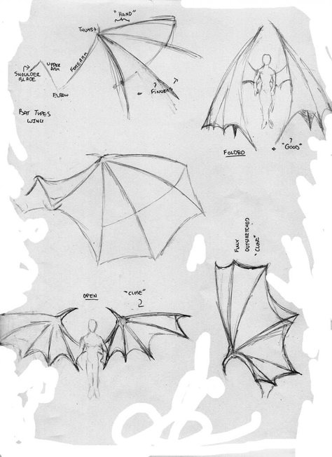 Bat Anime Wings by StickWilde Anime Wings, Demon Wings, Some Drawings, Wings Drawing, Dragon Sketch, 3d Drawings, Anatomy Drawing, Dragon Drawing, Anime Drawings Tutorials