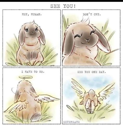 Bunny Memorial, Pet Bunny Rabbits, Rabbit Life, Bunny Care, Bunny Mom, Bunny Drawing, Rabbit Care, Pet Bunny